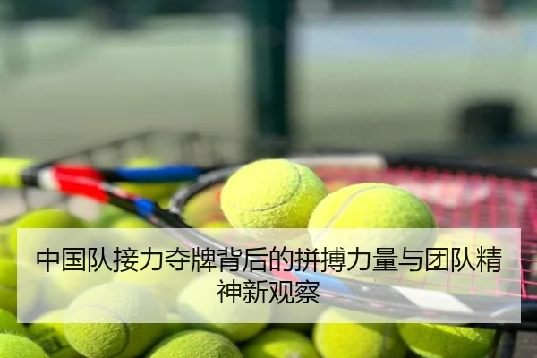 中国队接力夺牌背后的拼搏力量与团队精神新观察