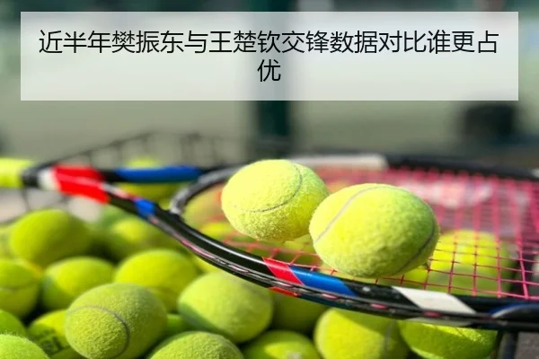 近半年樊振东与王楚钦交锋数据对比谁更占优