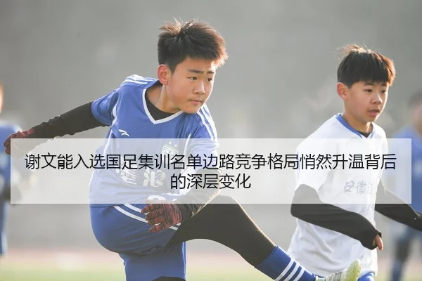 谢文能入选国足集训名单边路竞争格局悄然升温背后的深层变化