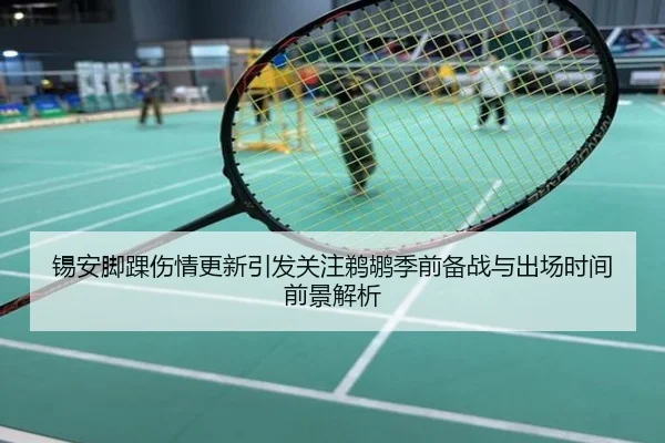 锡安脚踝伤情更新引发关注鹈鹕季前备战与出场时间前景解析