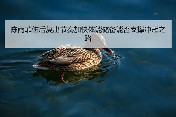 陈雨菲伤后复出节奏加快体能储备能否支撑冲冠之路