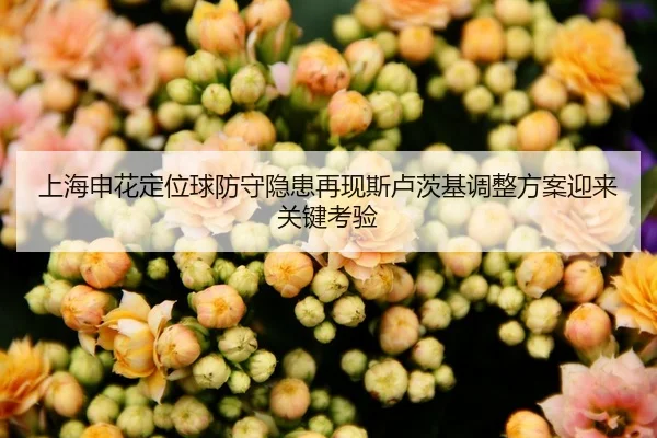 上海申花定位球防守隐患再现斯卢茨基调整方案迎来关键考验